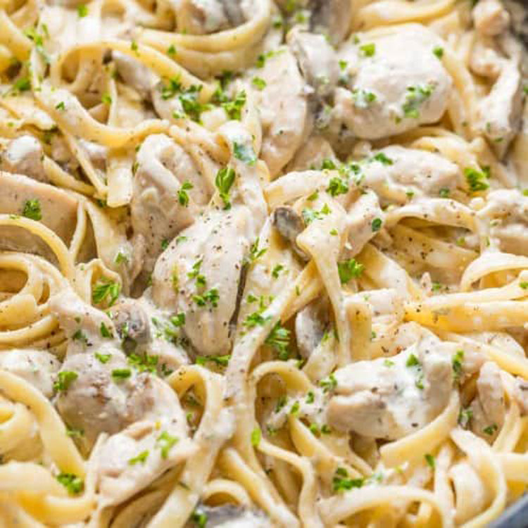 Chicken Alfredo